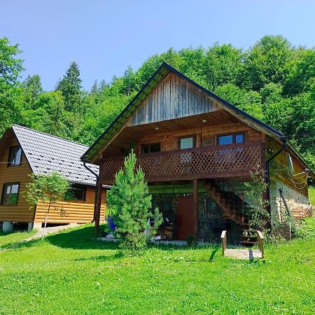 Під Горою Sheshory Exterior foto