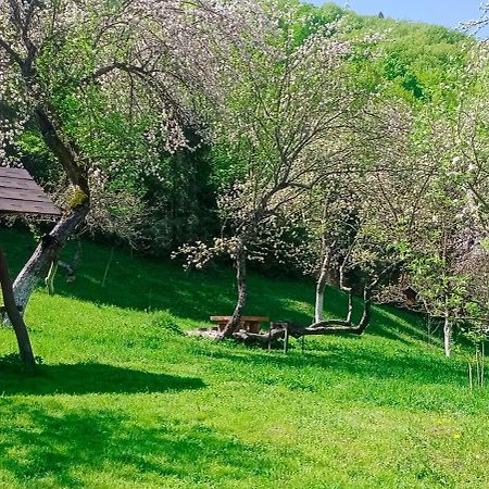 Під Горою Sheshory Exterior foto