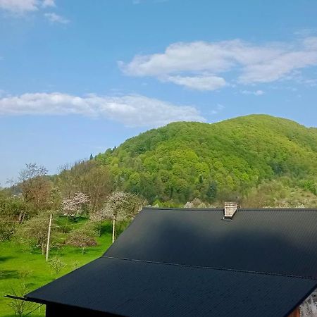 Під Горою Sheshory Exterior foto