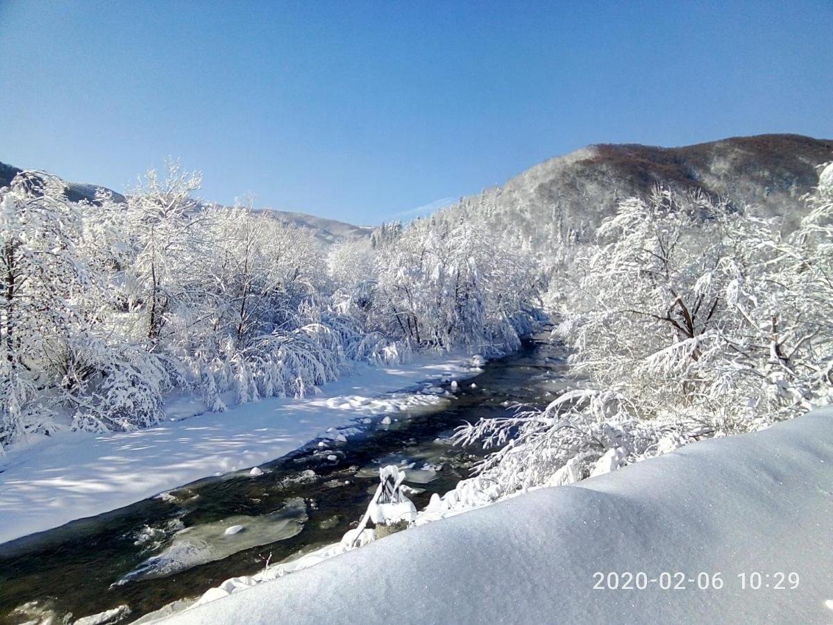 Під Горою Sheshory Exterior foto