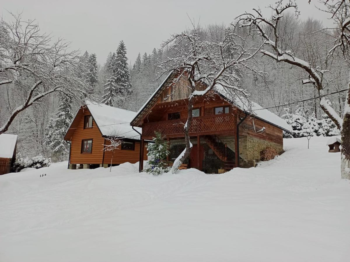 Під Горою Sheshory Exterior foto
