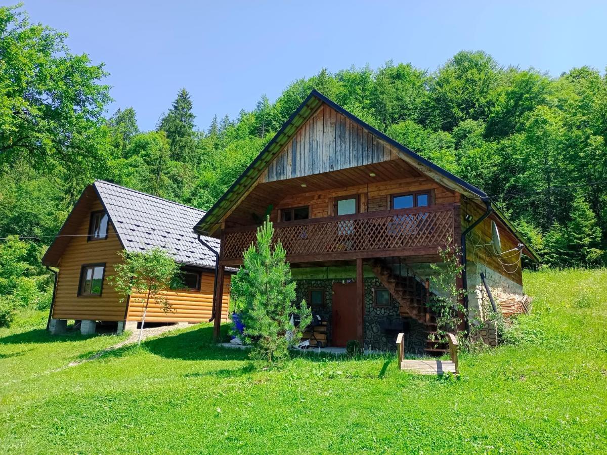 Під Горою Sheshory Exterior foto