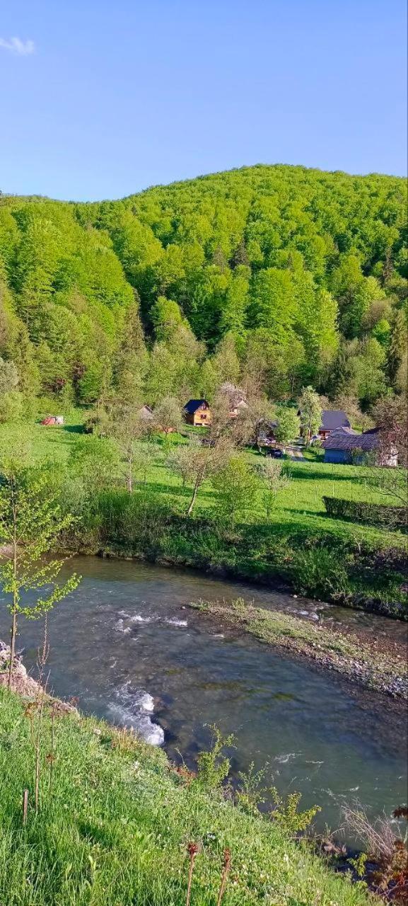 Під Горою Sheshory Exterior foto