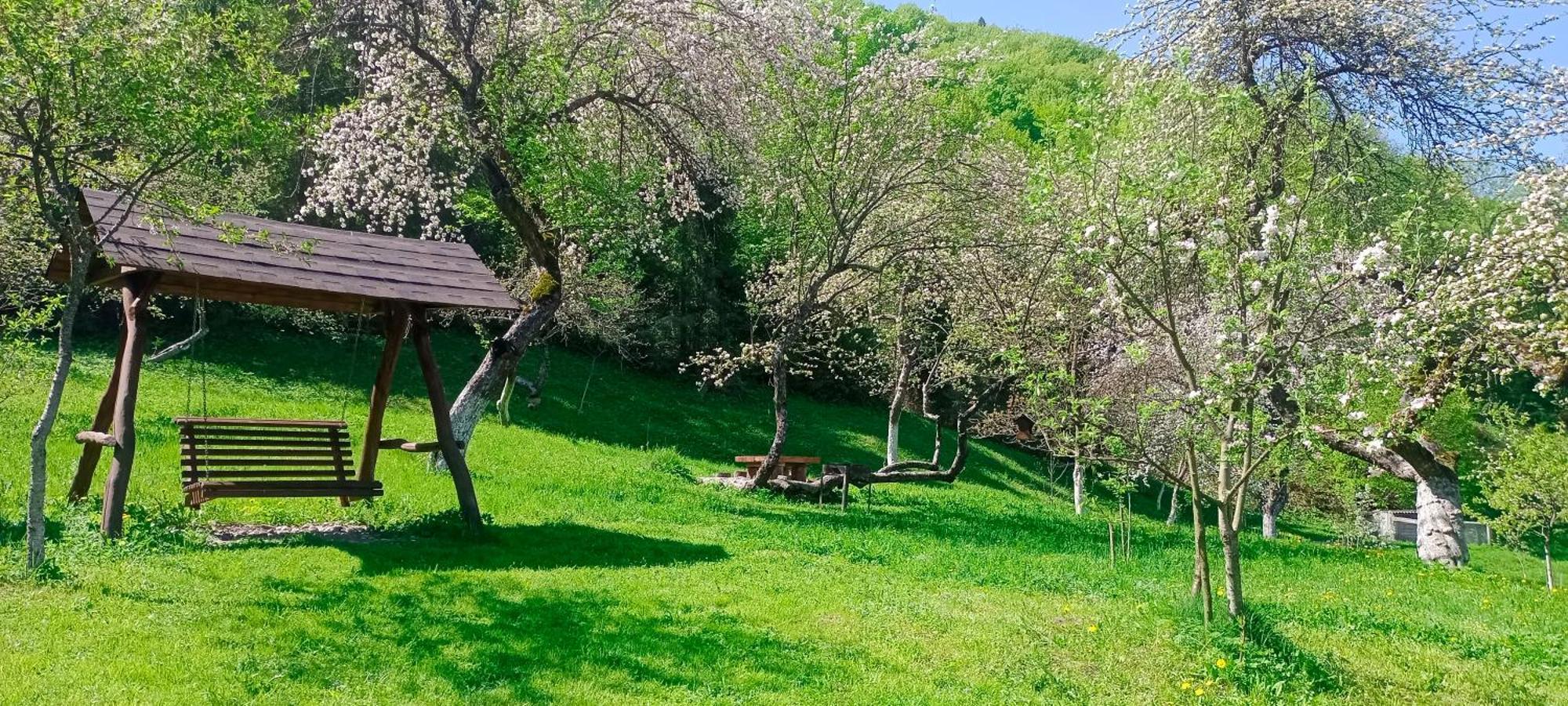 Під Горою Sheshory Exterior foto