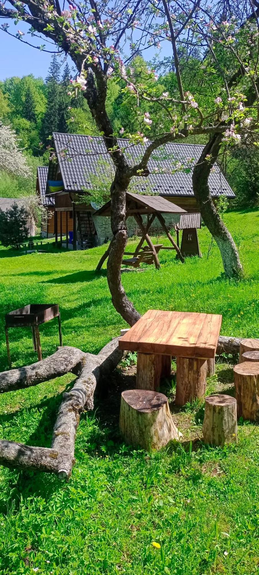 Під Горою Sheshory Exterior foto