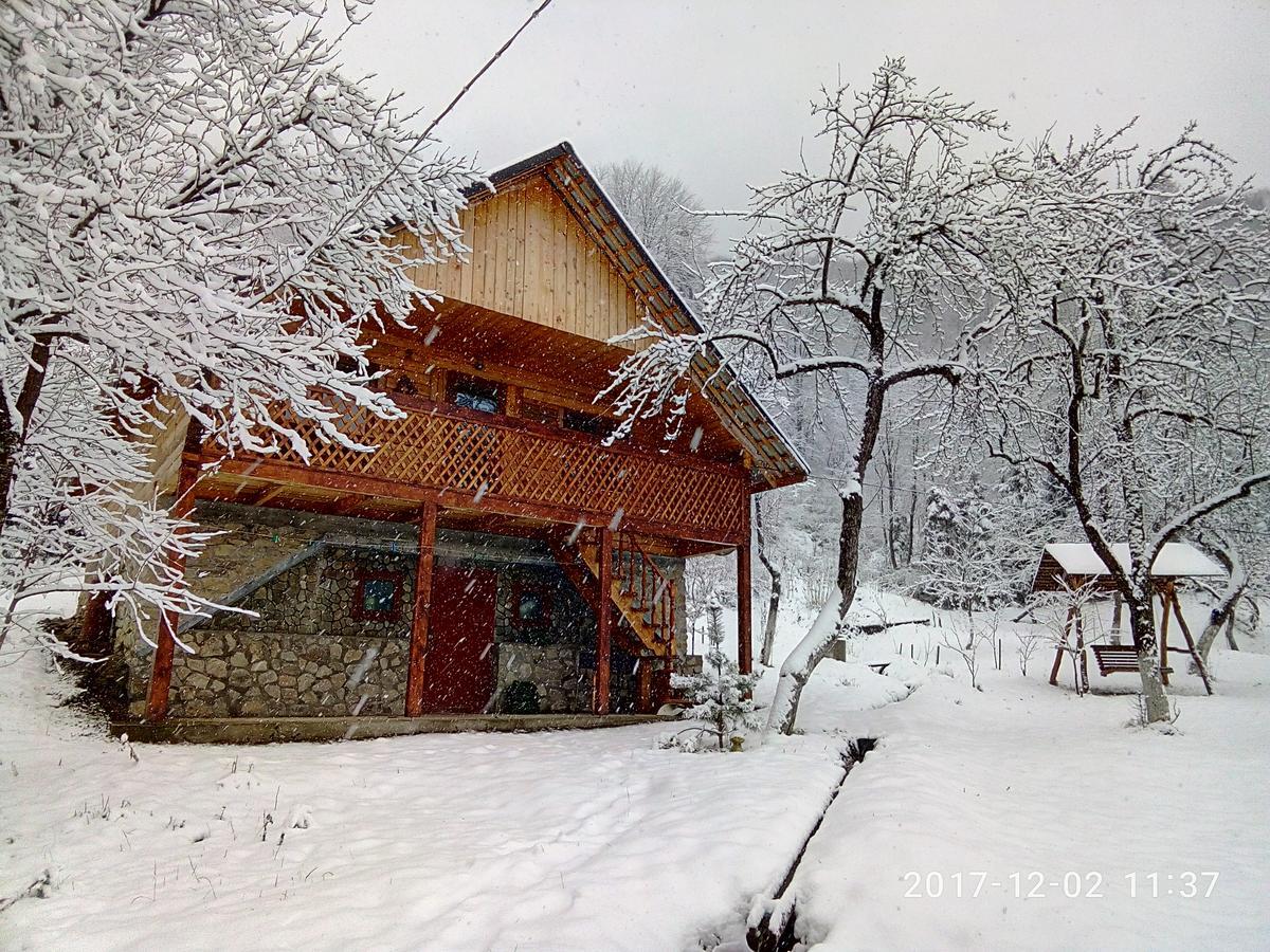 Під Горою Sheshory Exterior foto
