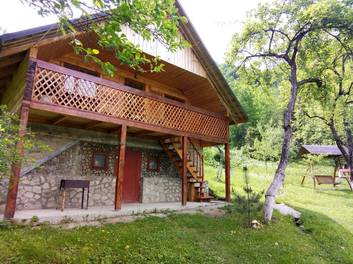 Під Горою Sheshory Exterior foto